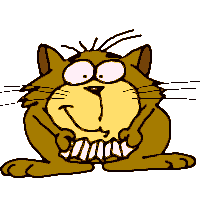anicat.gif (14KB)